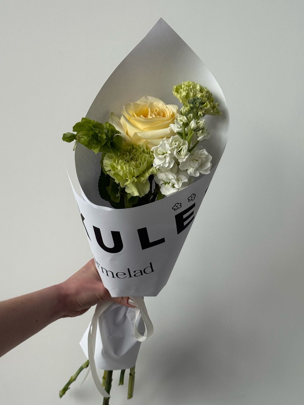 Кулек сборный из молюцелла, маттиолы и диантусов