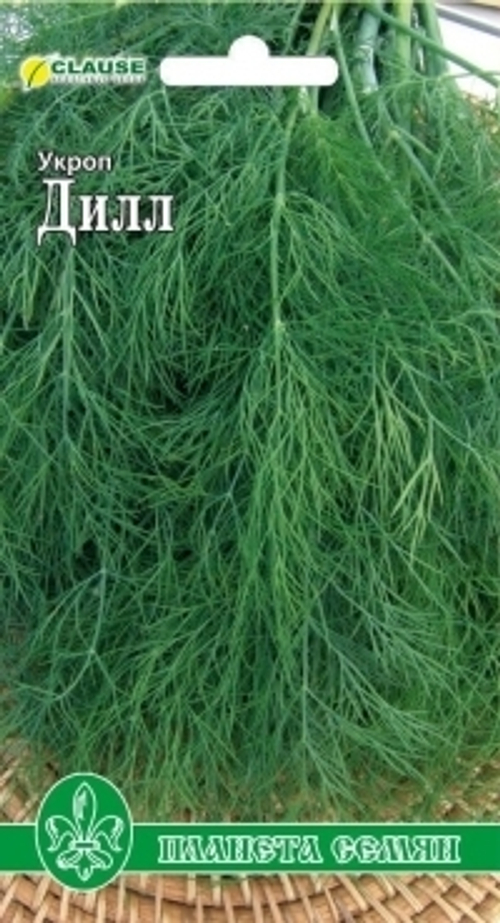 Укроп Дилл