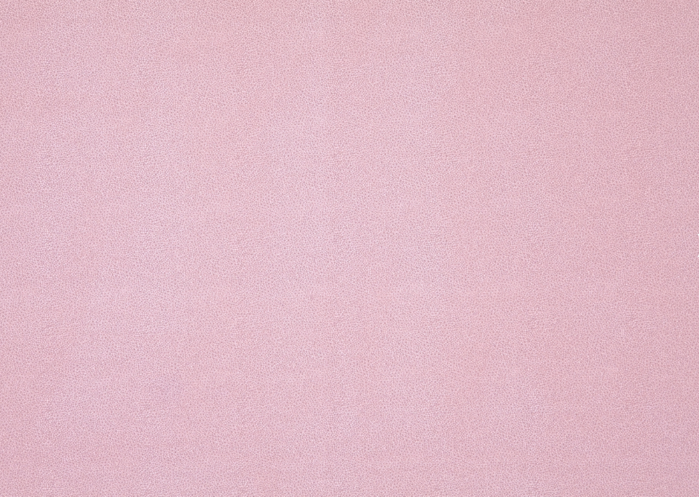 Микровелюр Elari (Элари) 10