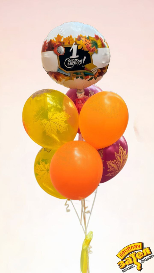 Сет "1 сентября"