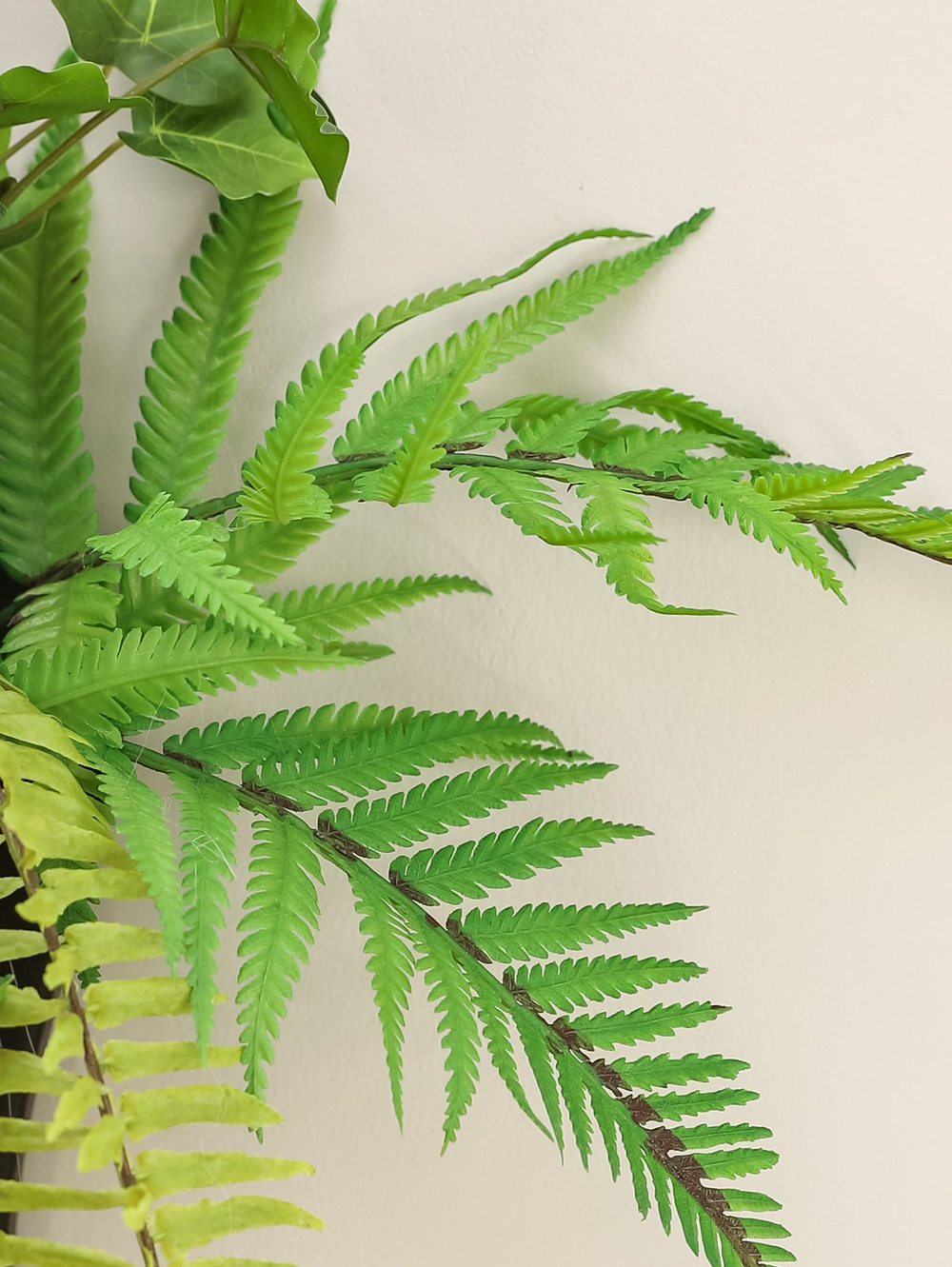 Настенная композиция в кашпо "Плющ"