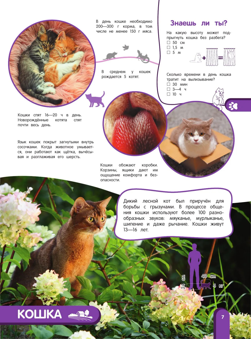 Удивительный мир животных. Энциклопедия для детей