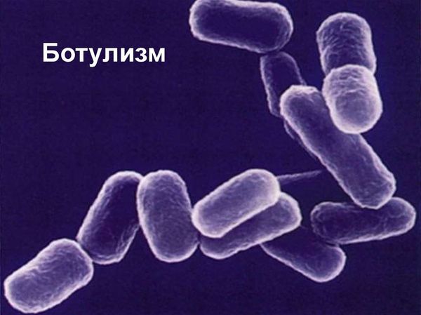 Ботулизм у животных