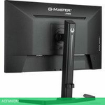 Игровой монитор Iiyama G-Master Black Hawk GB2445HSU-B1