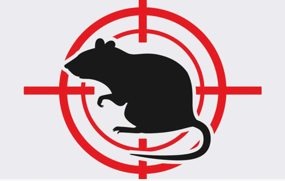 Уничтожение крыс и мышей
