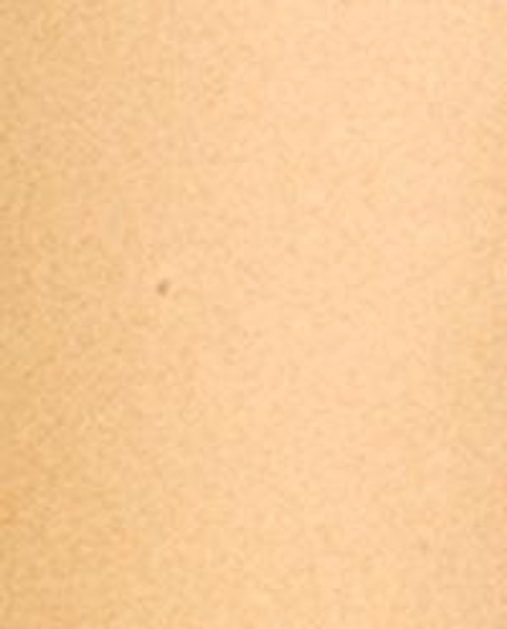 Zara Home Свеча ароматическая Palo Santo 350 г, растительный воск, аромат восточный древесный, Коричневый