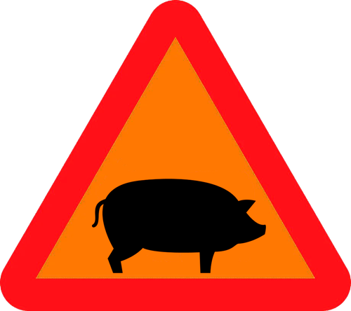 Свин_на_оранжевом.png