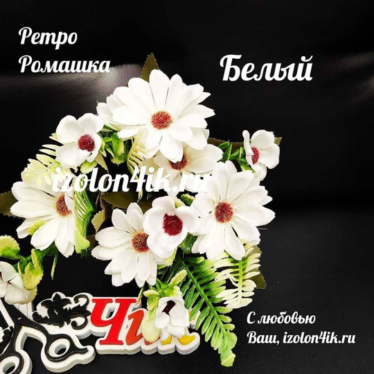 Куст РОМАШКИ РЕТРО (Белый)
