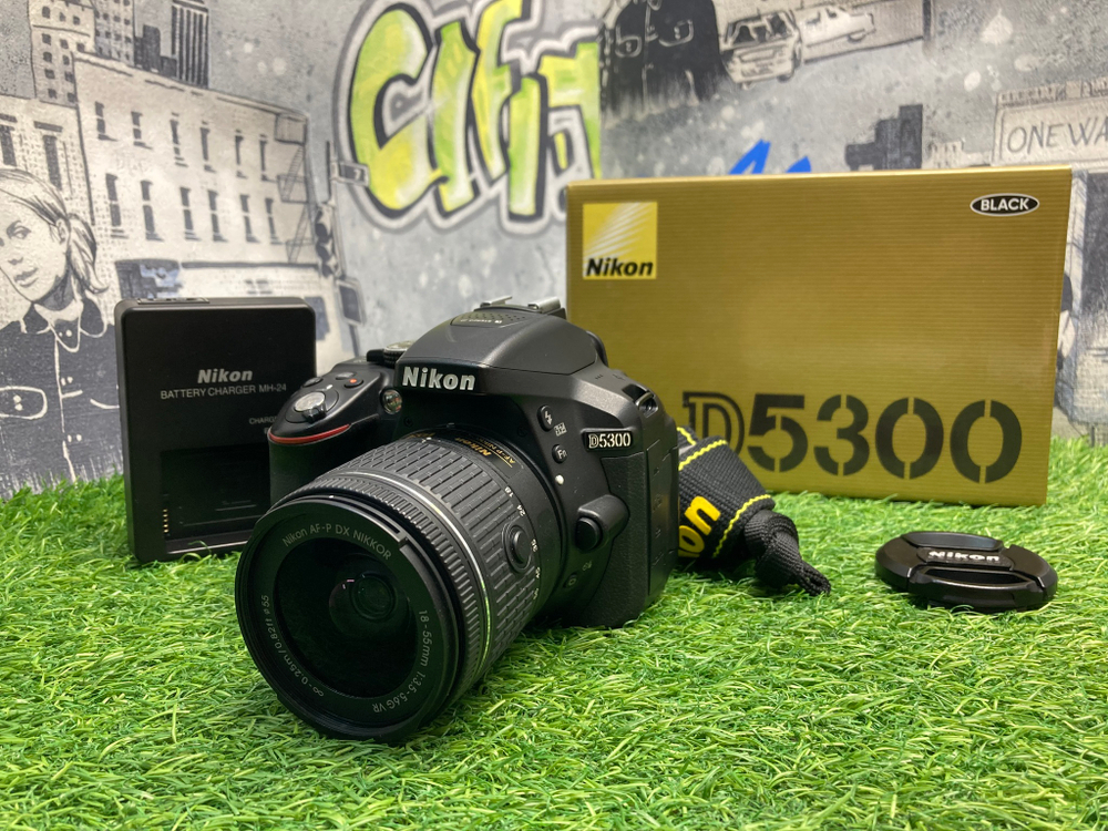 Nikon D5300 kit AF-P 18-55mm 3.5-5.6G VR 2.500 кадров