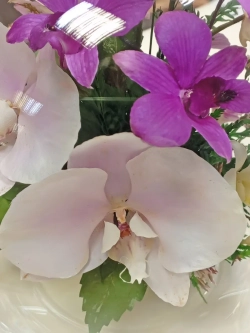 натуральные орхидеи в стекле, вакуум