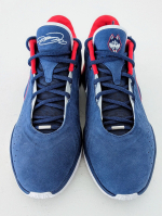 Заказать Nike LeBron 21 UCONN