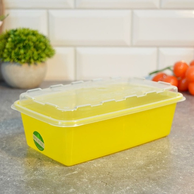 Контейнер для заморозки 1л 200*120*67мм "Zip", лимон