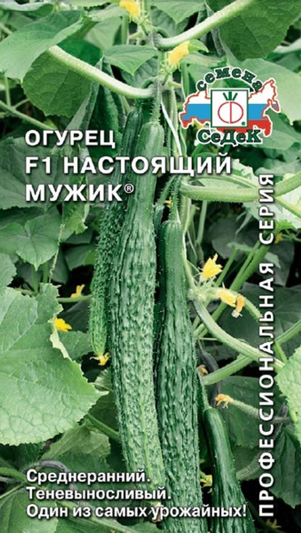 Огурец Настоящий мужик F1