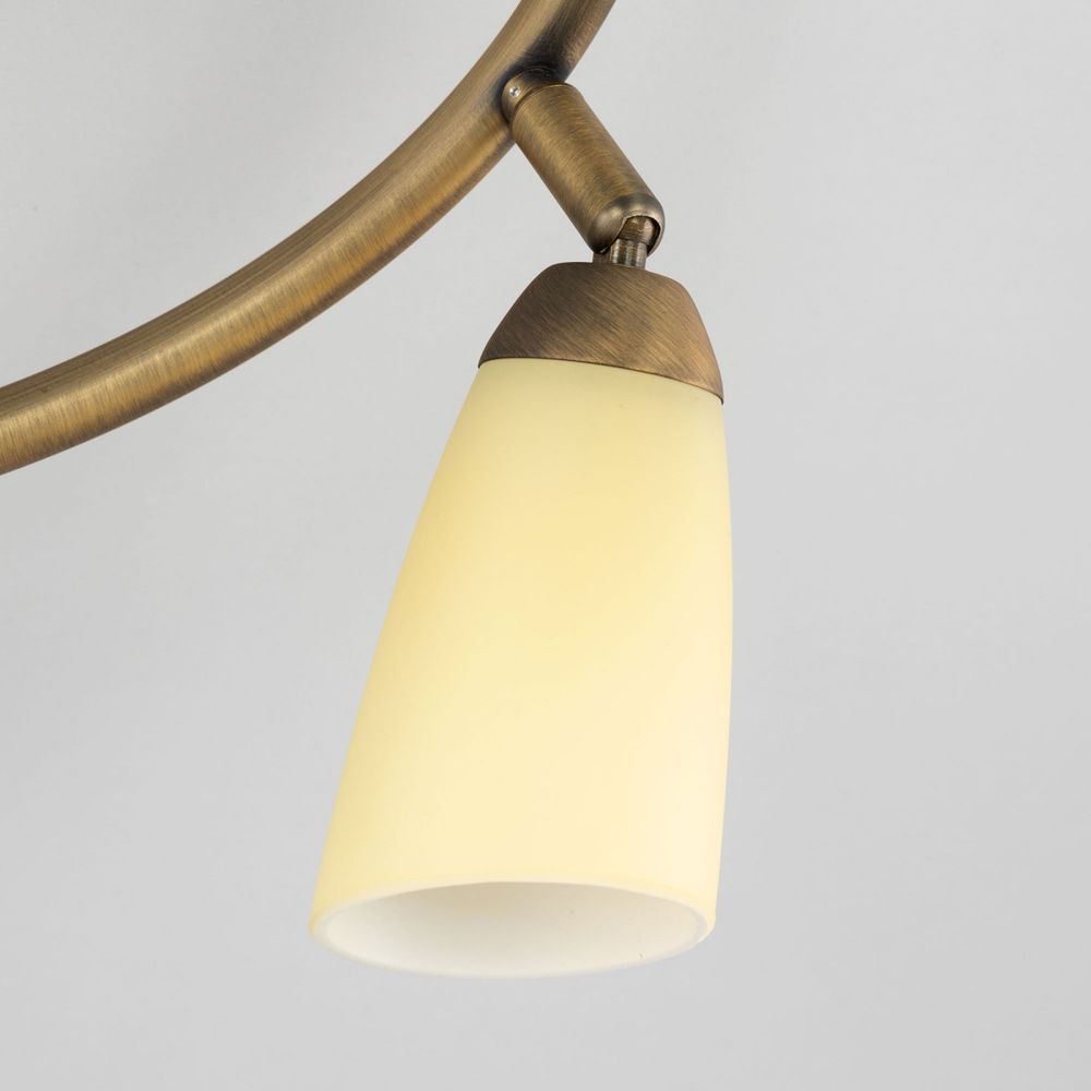 Citilux Белла CL501163 Спот поворотный Бронза