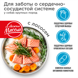 Корм сухой для взрослых собак крупных пород, премиум полнорационный комплекс, для заботы сердечно-сосудистой системы, с лососем, 2,5 кг, QUATTRO
