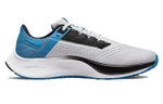 Кроссовки Nike Pegasus 38