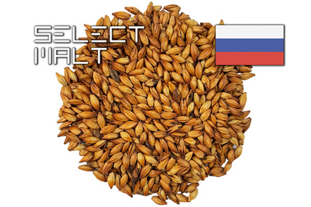 CARAMEL DARK (SELECT MALT)