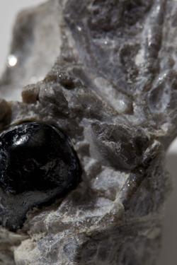 Обсидиан «Слёзы Апачей» кристалл на породе L