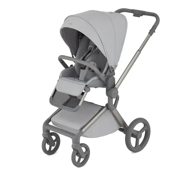 Коляска ANEX Flo 3 в 1 Frossy