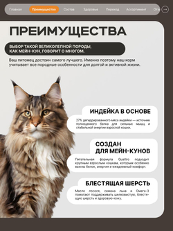 Корм сухой для кошек породы Мейн-кун, с индейкой, 2 кг, QUATTRO