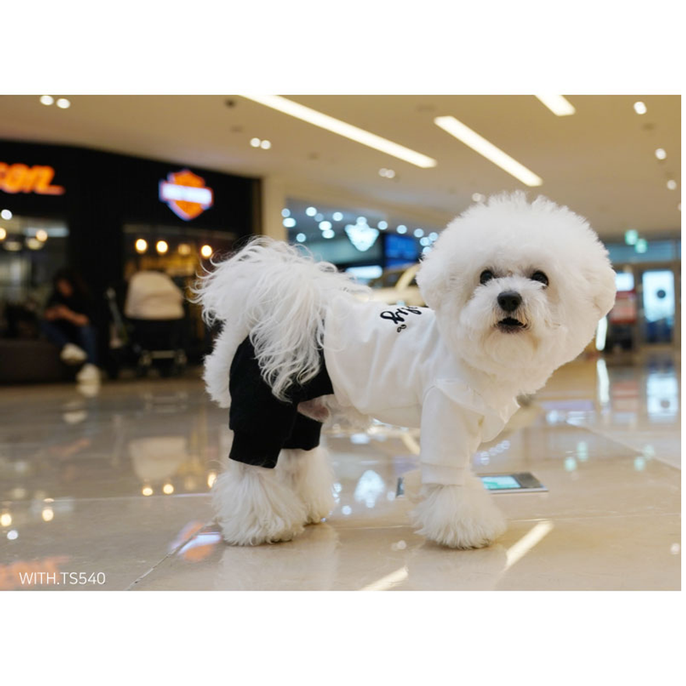 312 Костюм с бантом "Lovely Puppy Angel"