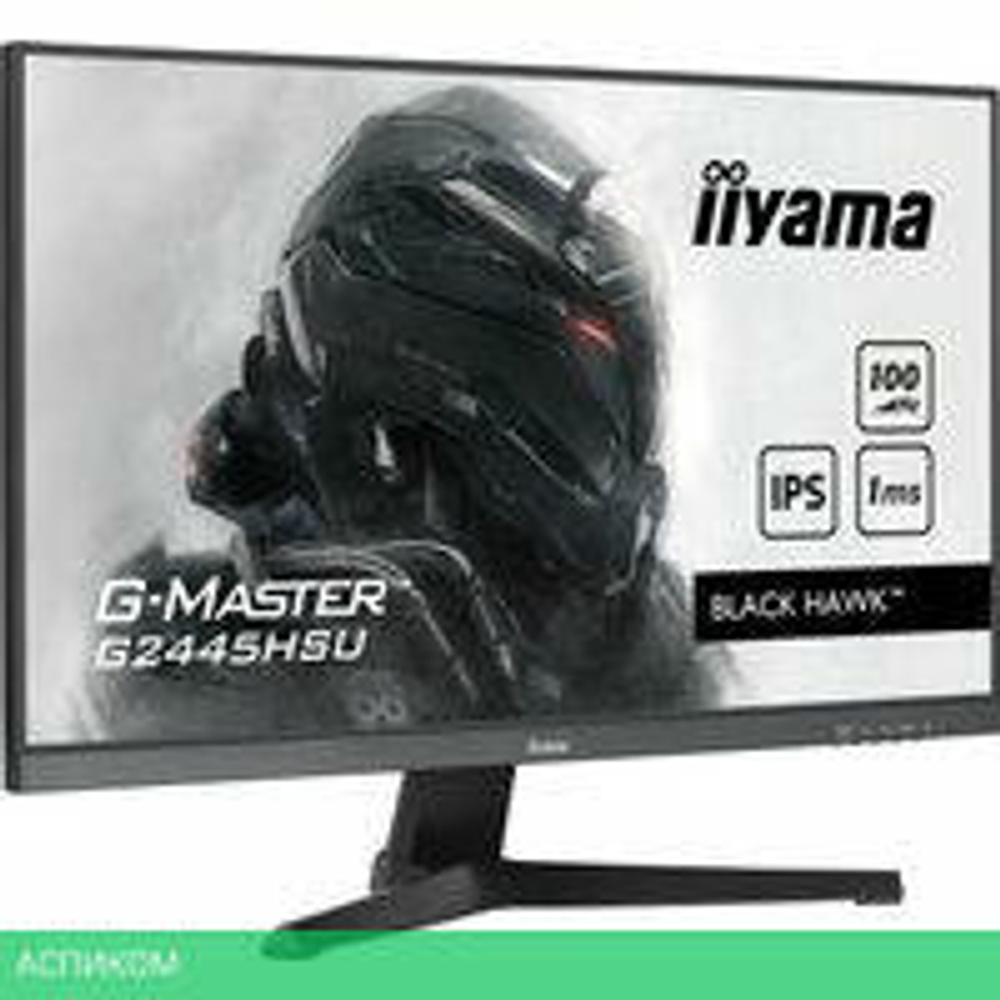 Игровой монитор Iiyama G-Master Black Hawk G2445HSU-B1