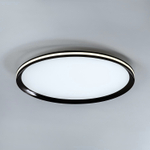 Потолочный светодиодный cветильник LED4U L3020-500 BK