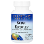 Planetary Herbals, Kudzo Recovery™, 60 таблеток