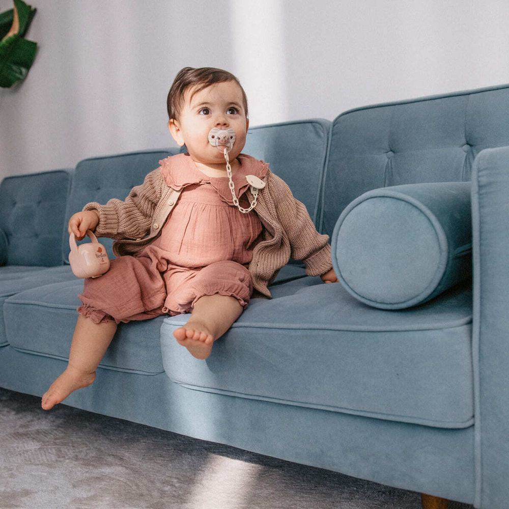 Футляр для пустышек Suavinex Birdies розовый