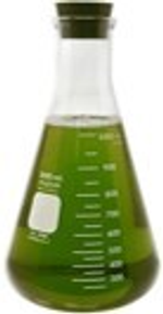 Колба коническая, 2000 мл, узкое горло, с резиновой пробкой