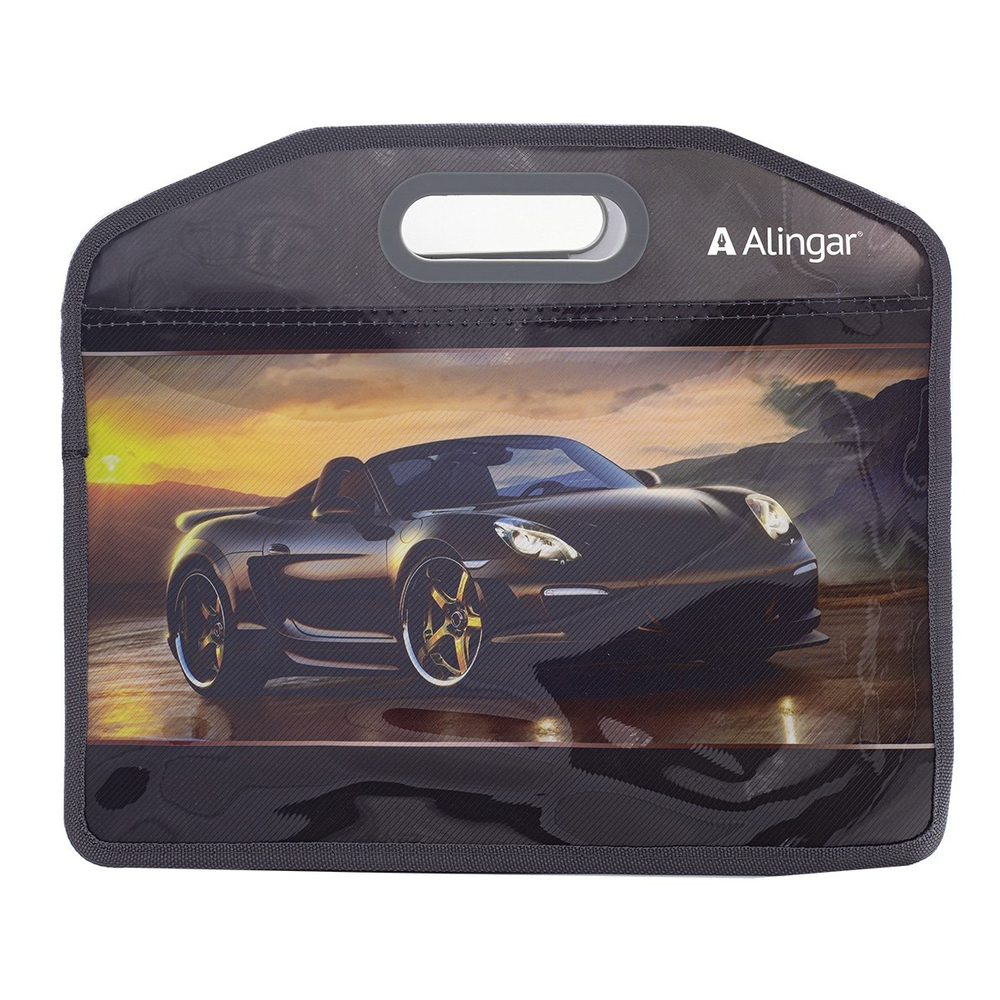 Папка с ручками 1 отделение, А4 300х365х115мм, Alingar, пластик, прорезная ручка, молния сверху, "Черное авто"