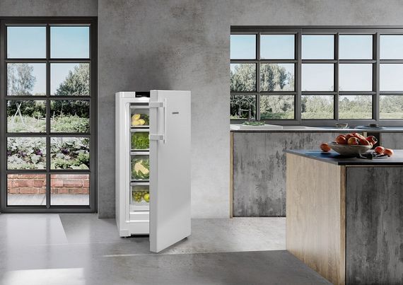 Холодильник Liebherr RBa30 425i