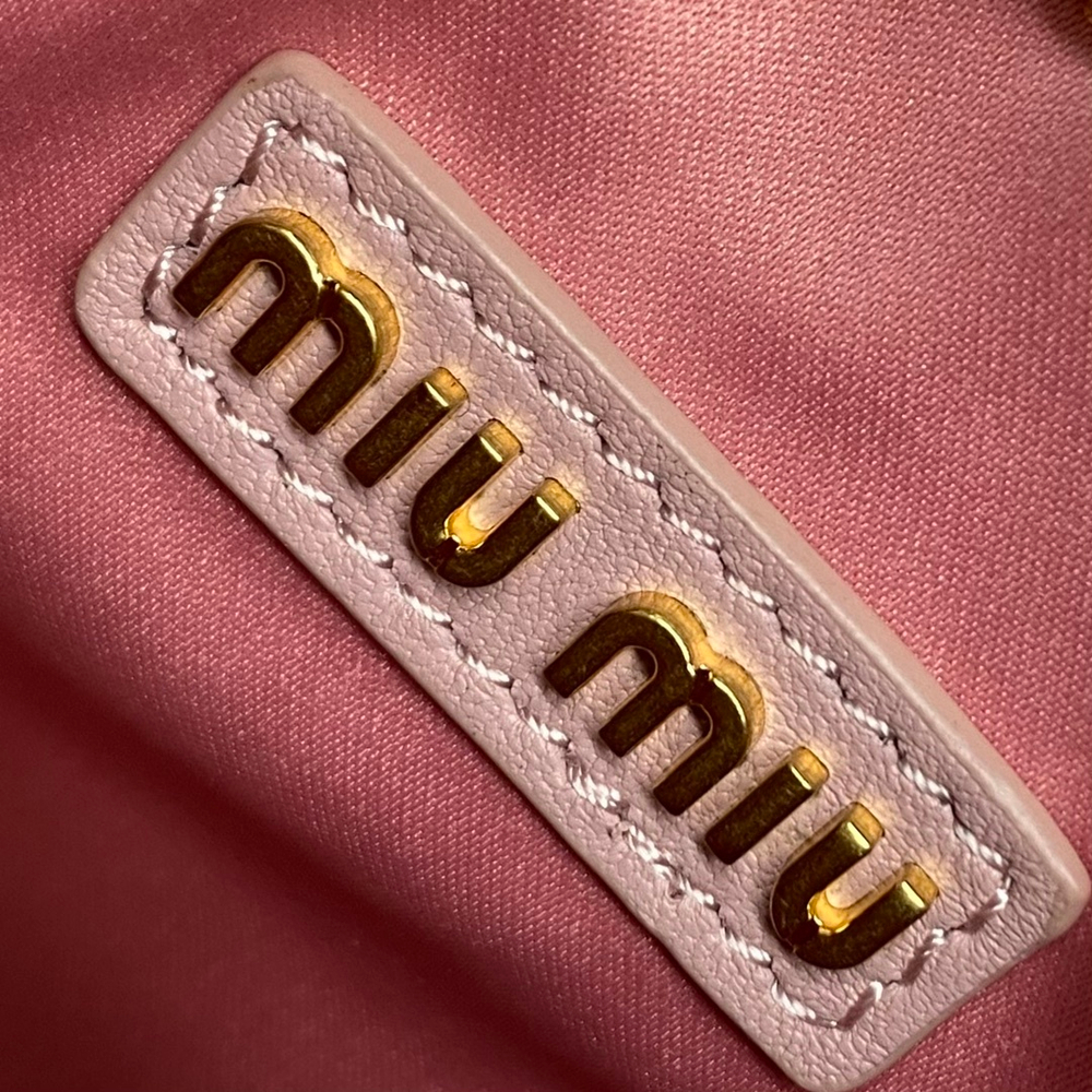 Miu Miu Wander Hobo Bag 20 cm