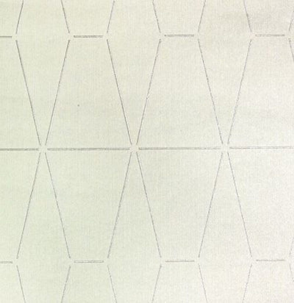 обои современные дизайнерские GEN0056