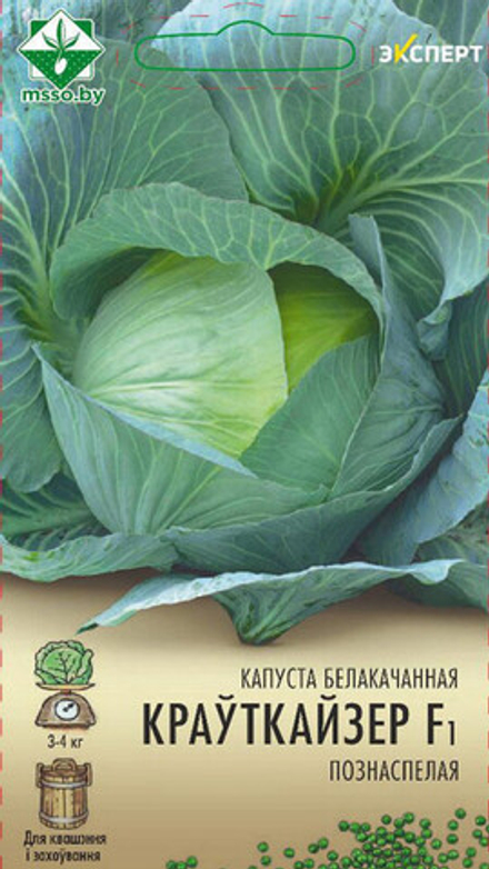 Капуста б/к "Крауткайзер F1" 12шт, Нидерланды.