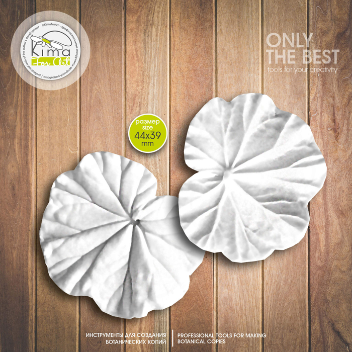 Герань лист маленький