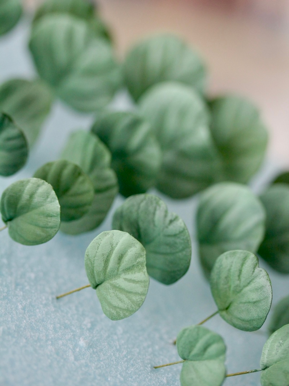 Набор вайнеров для лепки листьев эвкалипта Coprussia