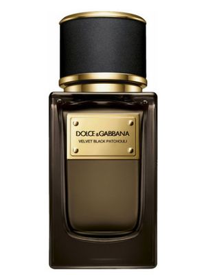 Dolce and Gabbana Velvet Black Patchouli