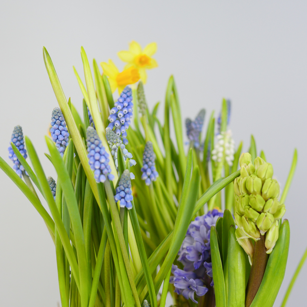 Композиция с первоцветами в синей корзине