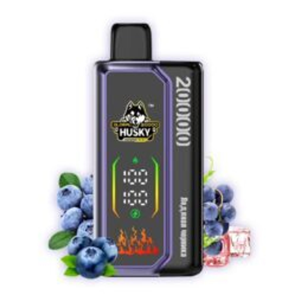 Husky Global Ледяная черника 20000 затяжек 20мг Hard (2% Hard)