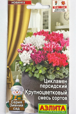 Цикламен Крупноцветковый, смесь сортов СМЦ-365