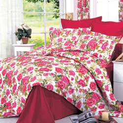 Постельное белье СайлиД B-004 сатин