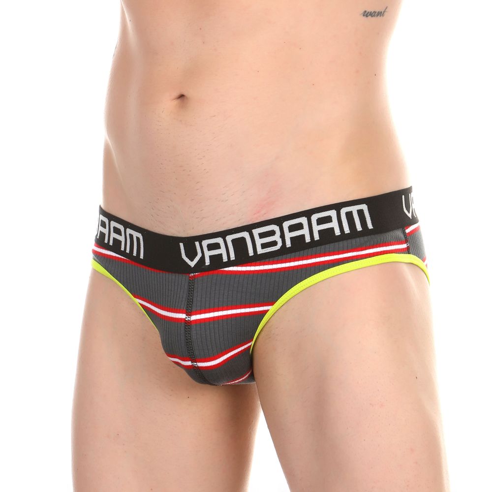 Мужские трусы слипы темно-серые в полоску Van Baam