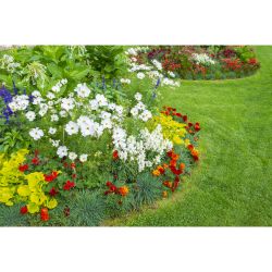 Тележка для шланга GF GF80605770 пластиковая для мешков | Аксессуары для полива Green Apple