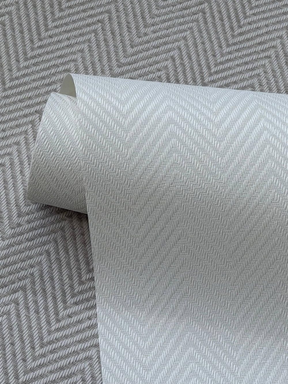 GaENARI 81404-6 REGALIA