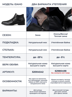 Ботинки Idaho 680B