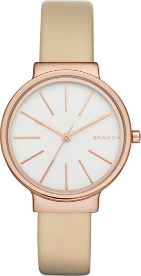 Женские часы Skagen SKW2481