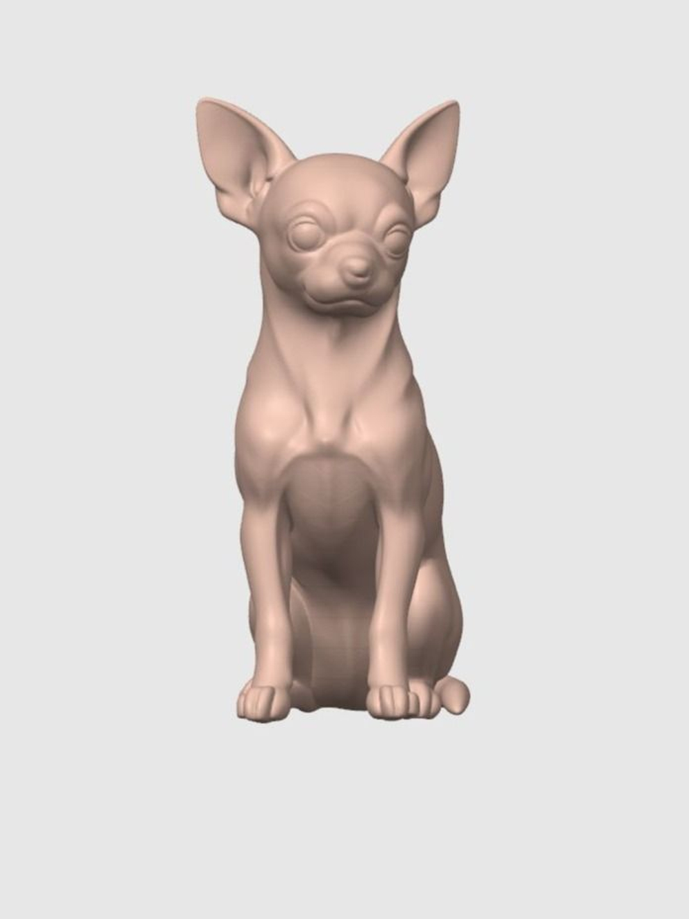 Чихуахуа короткошерстная