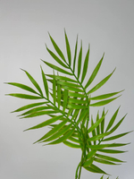 Бамбуковый куст / Арт 5012