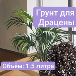 Грунт для Драцены, 1 литр